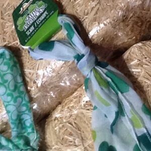 NWT St. Patty's Day Scarf